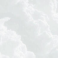 dfi: basic dni; pro-sh/ed; pro-russia/israel; maga; kaeluc; batcest; you ship anyone in mouthwashing/support jimmy's actions