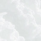 hyperfixations: jellyfish, fnaf, dcu, mouthwashing